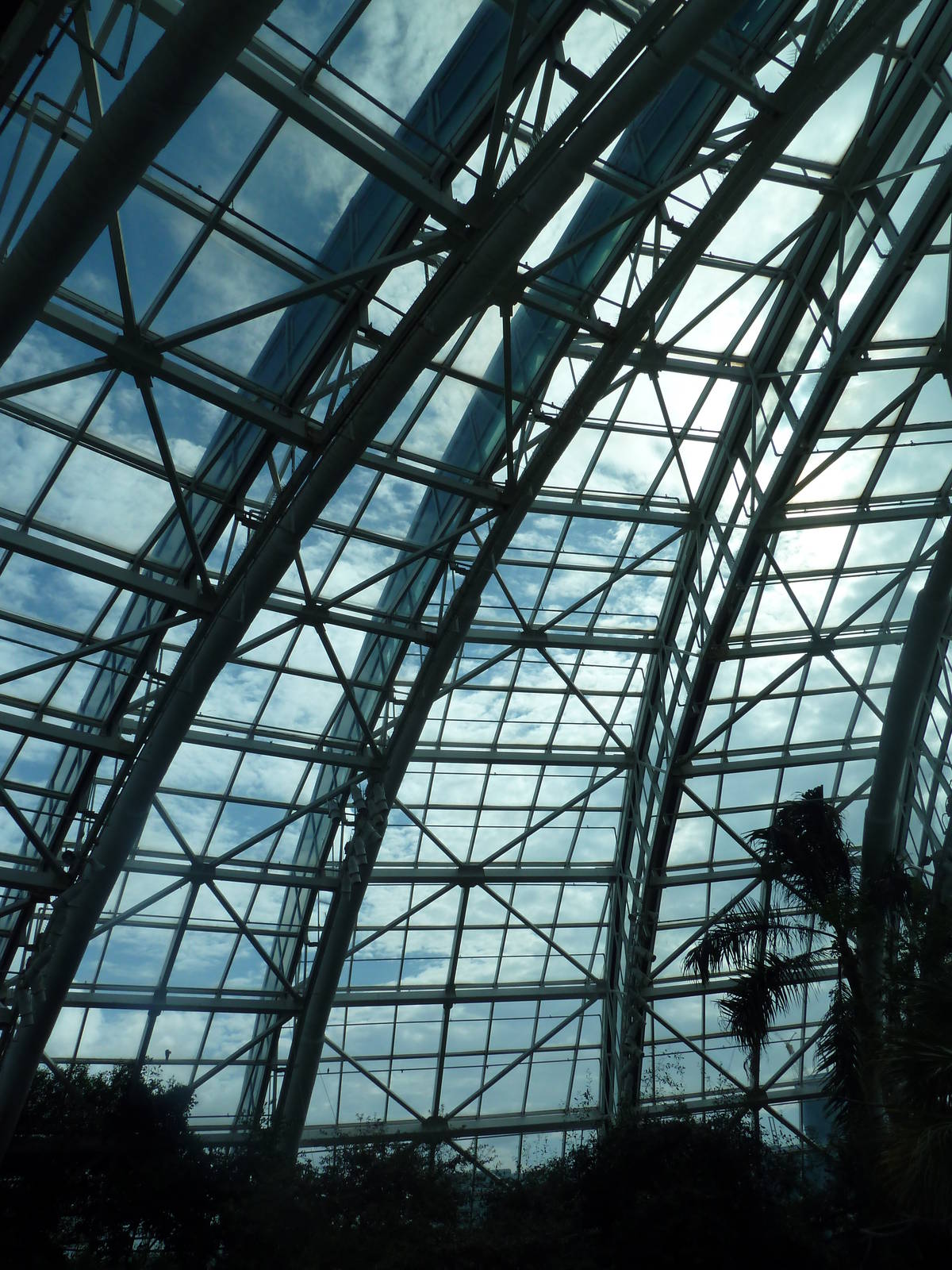 Wetlands - Arched Wall