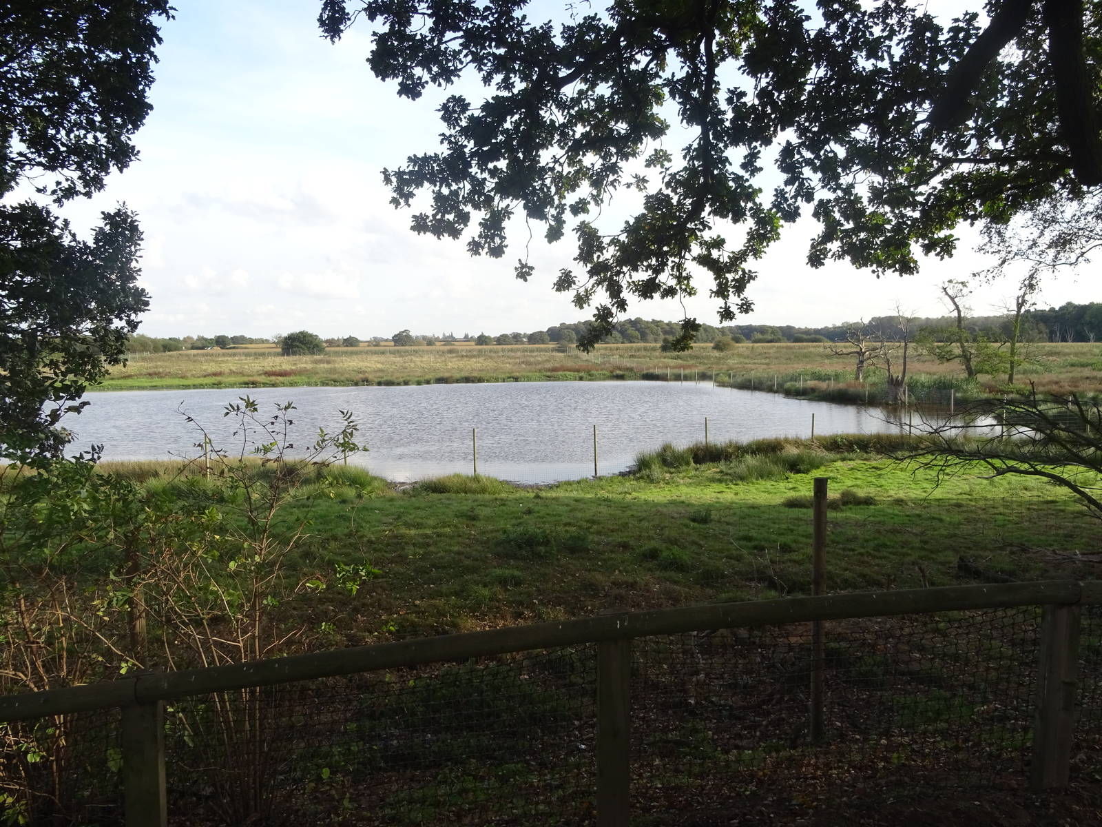 Wetlands at Yorkshire Wildlife Park