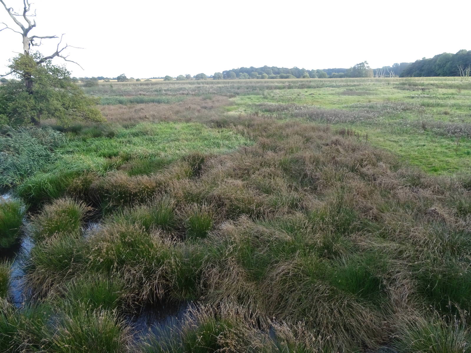 Wetlands at Yorkshire Wildlife Park