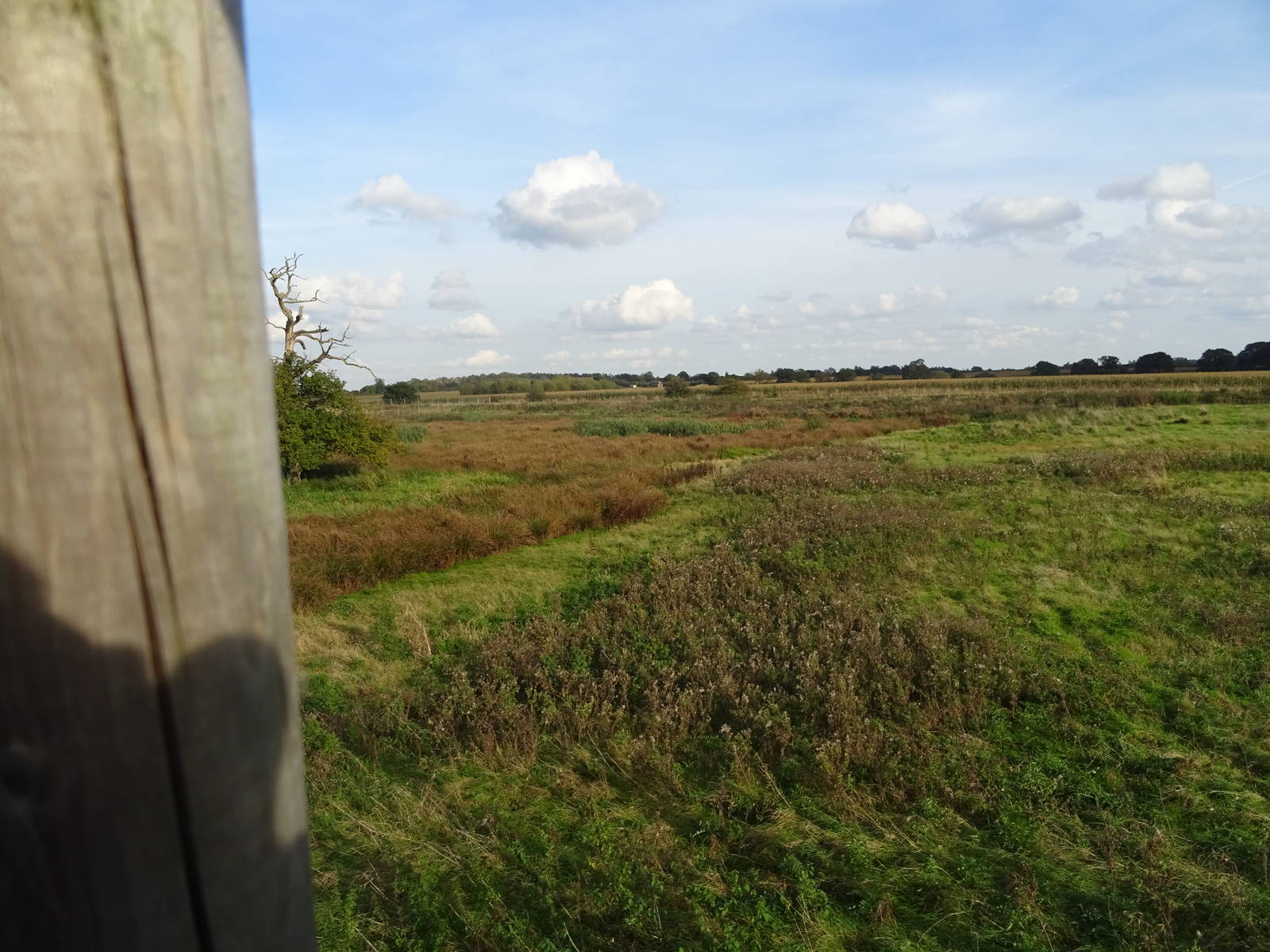 Wetlands at Yorkshire Wildlife Park