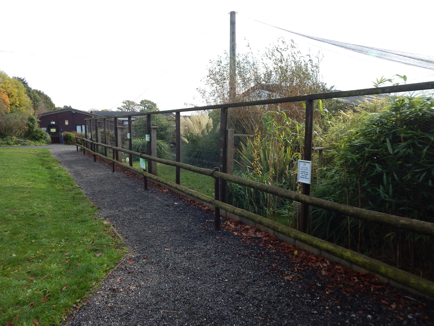 Wetlands Aviary 231022