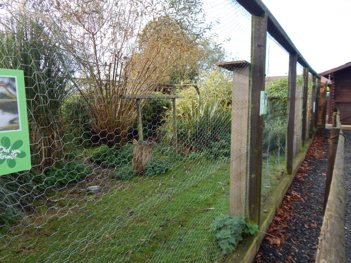 Wetlands Aviary 231022