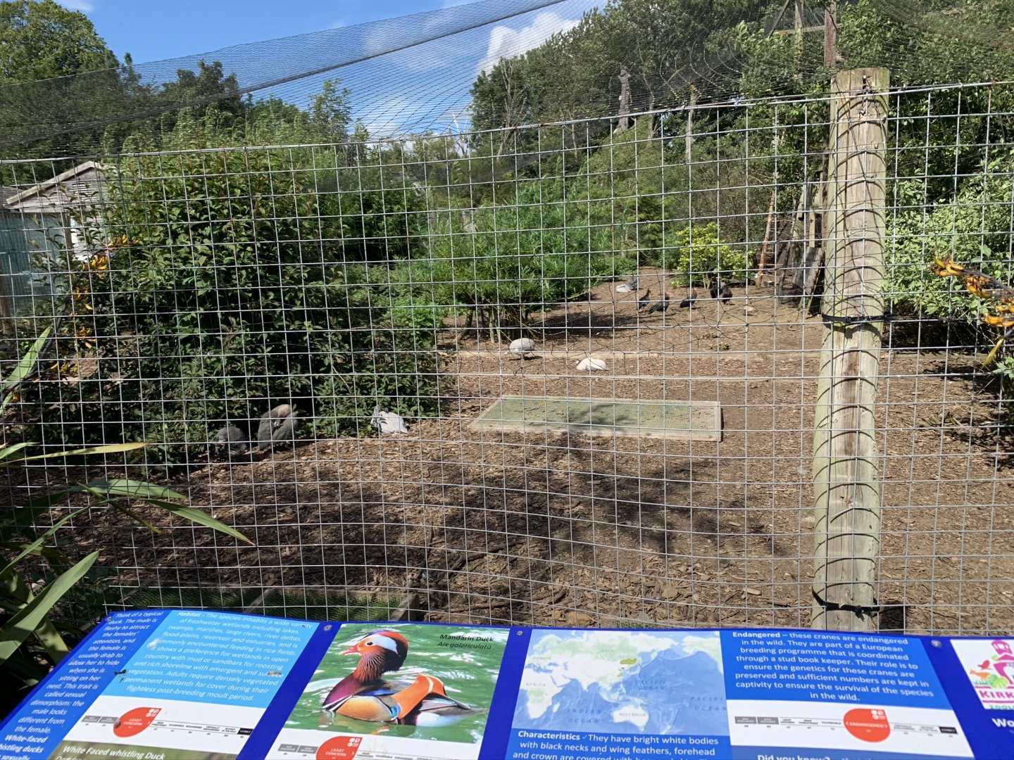 Wetlands Aviary at Northumberland College Zoo (2020)