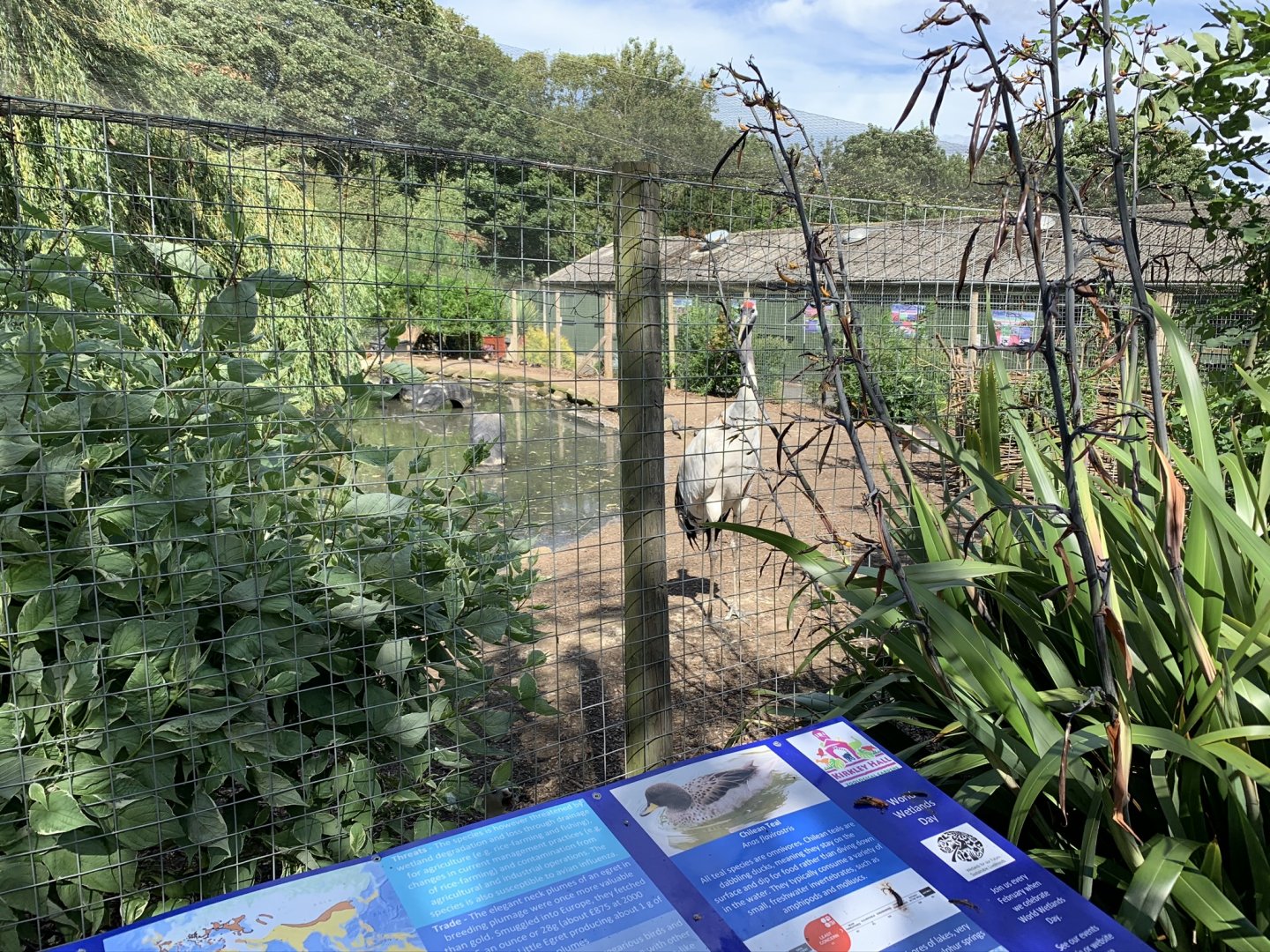 Wetlands Aviary at Northumberland College Zoo (2020)