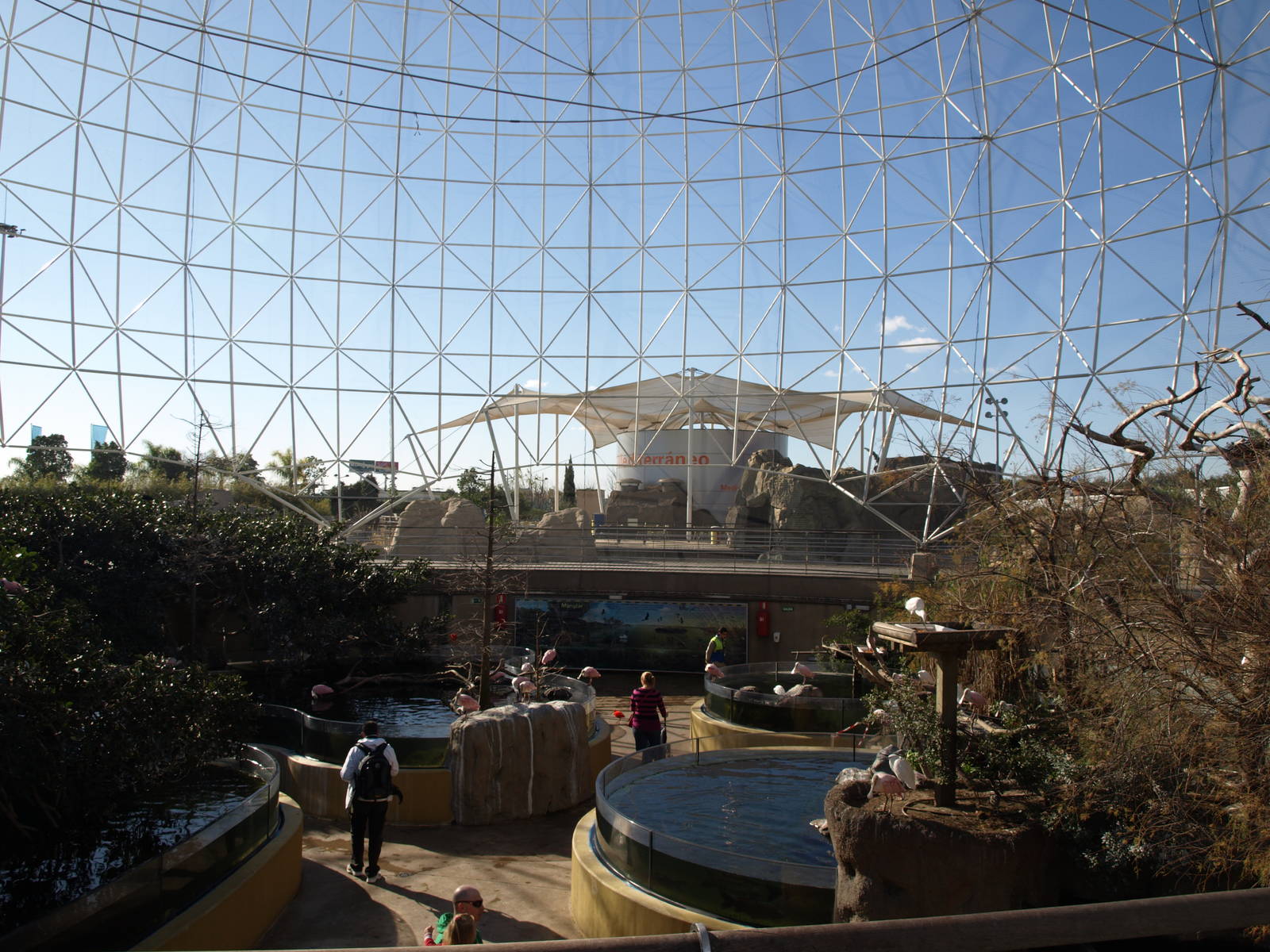 Wetlands aviary inside view