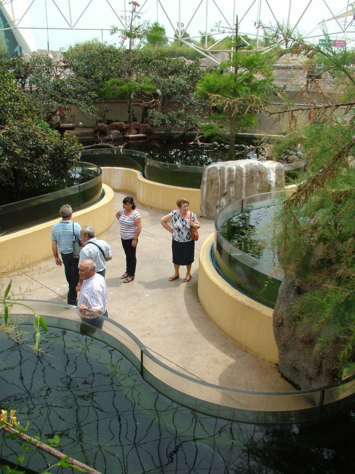Wetlands Aviary Interior at Oceanografic, 29/05/11
