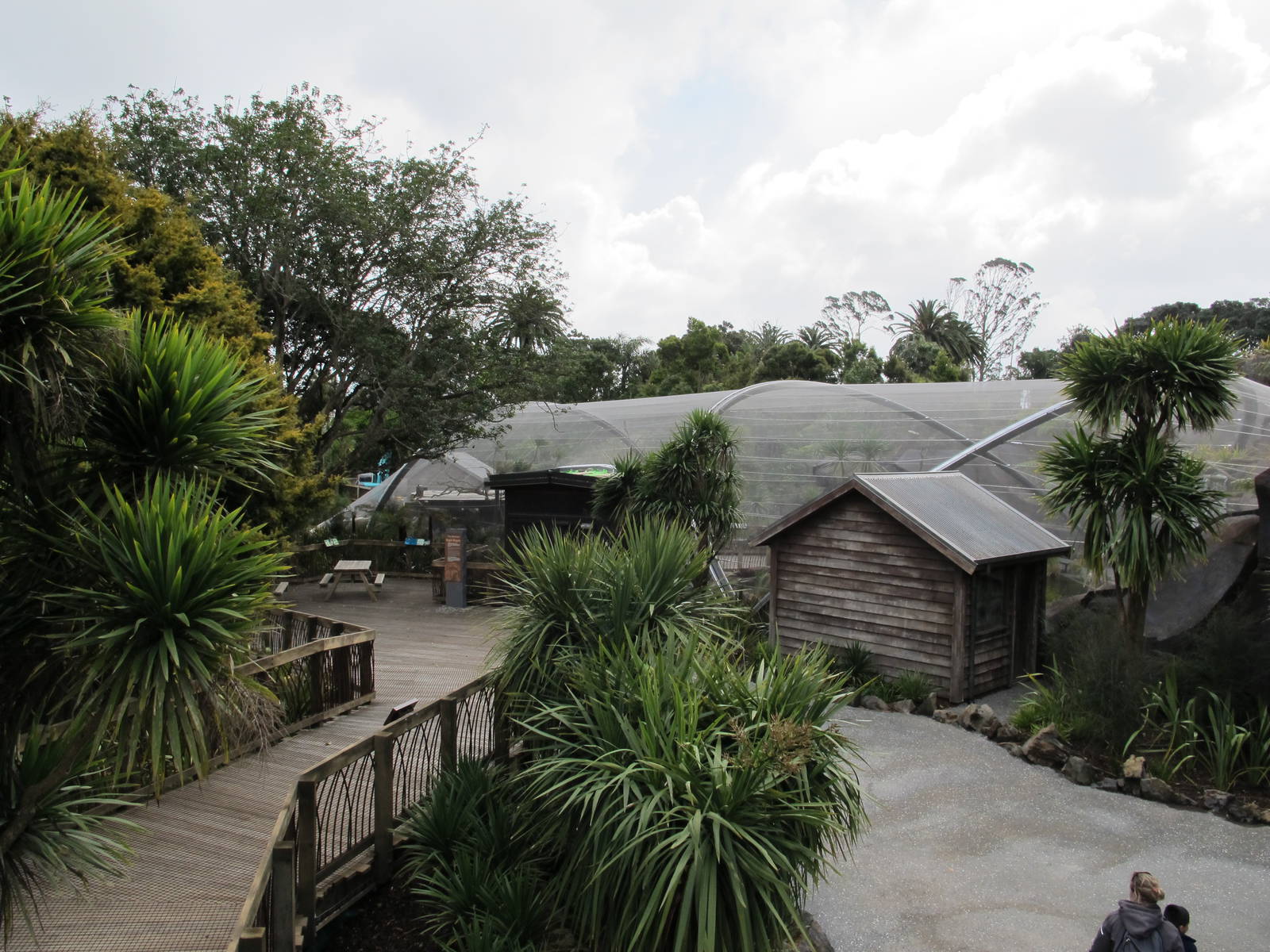 Wetlands Aviary - Te Wao Nui, Auckland Zoo 2011