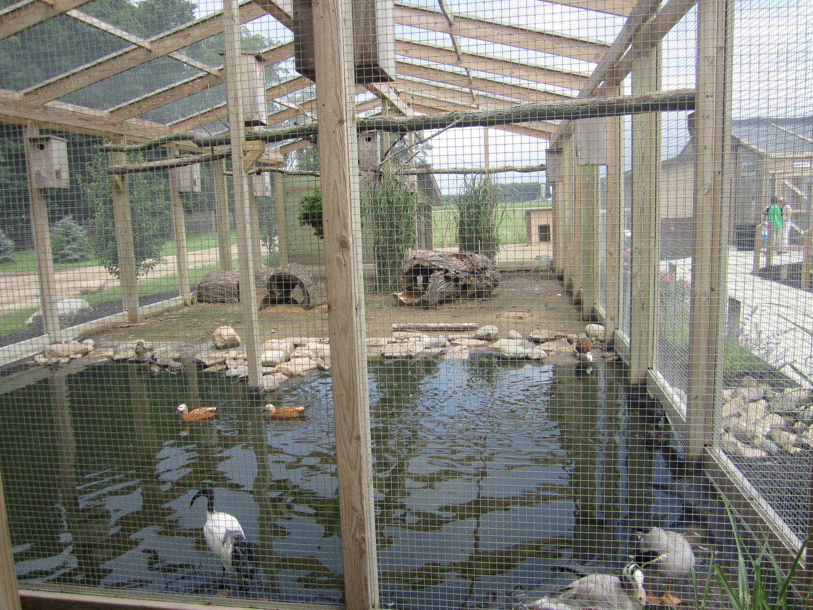 Wetlands Aviary