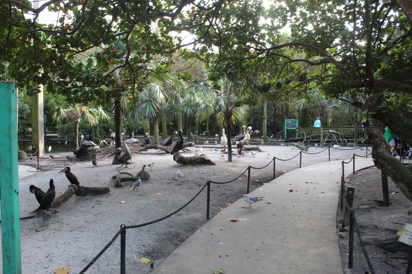 Wetlands Aviary
