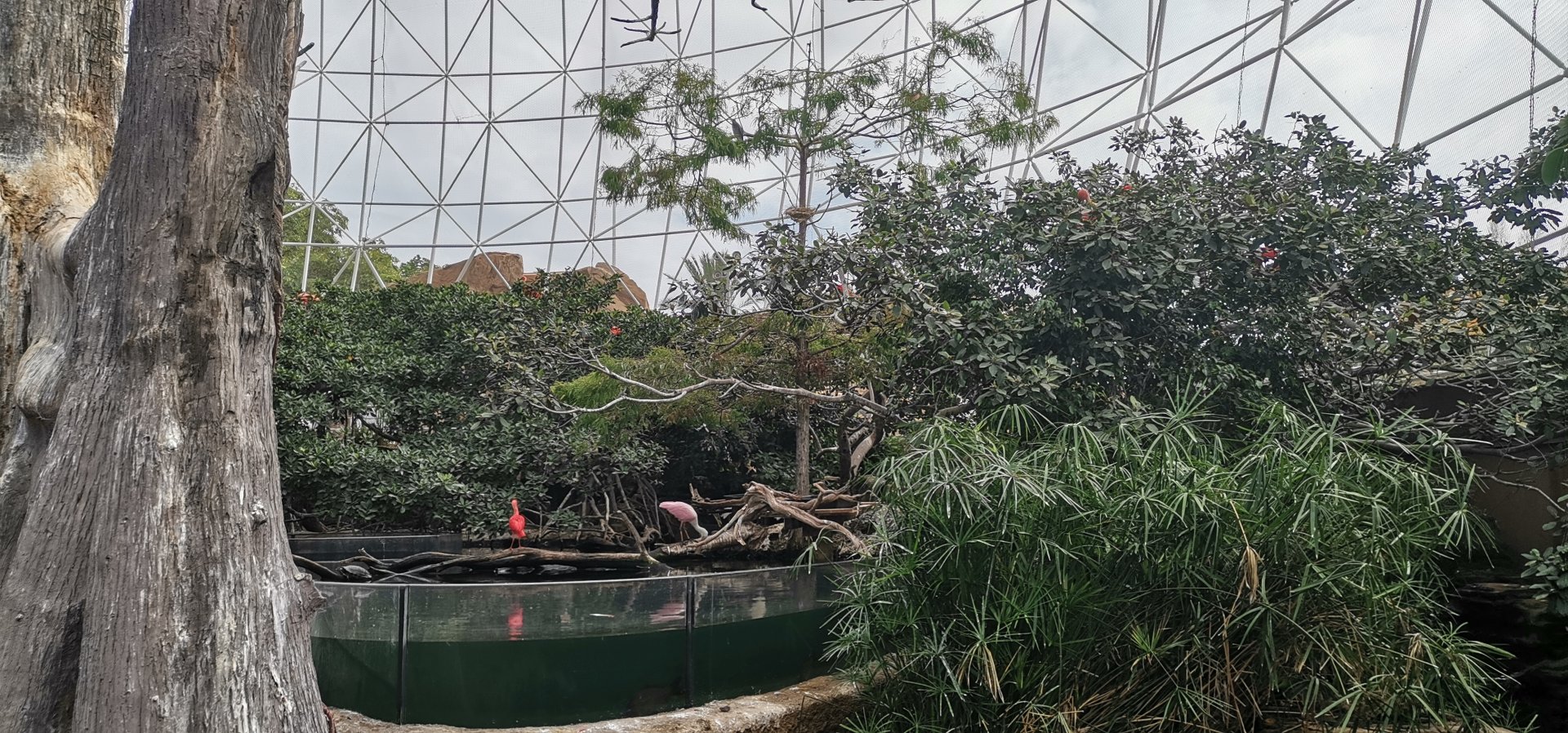 Wetlands Aviary