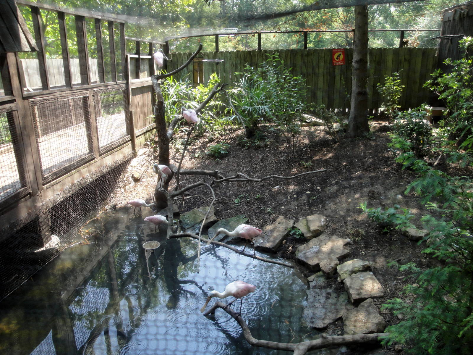 Wetlands Bird Exhibit