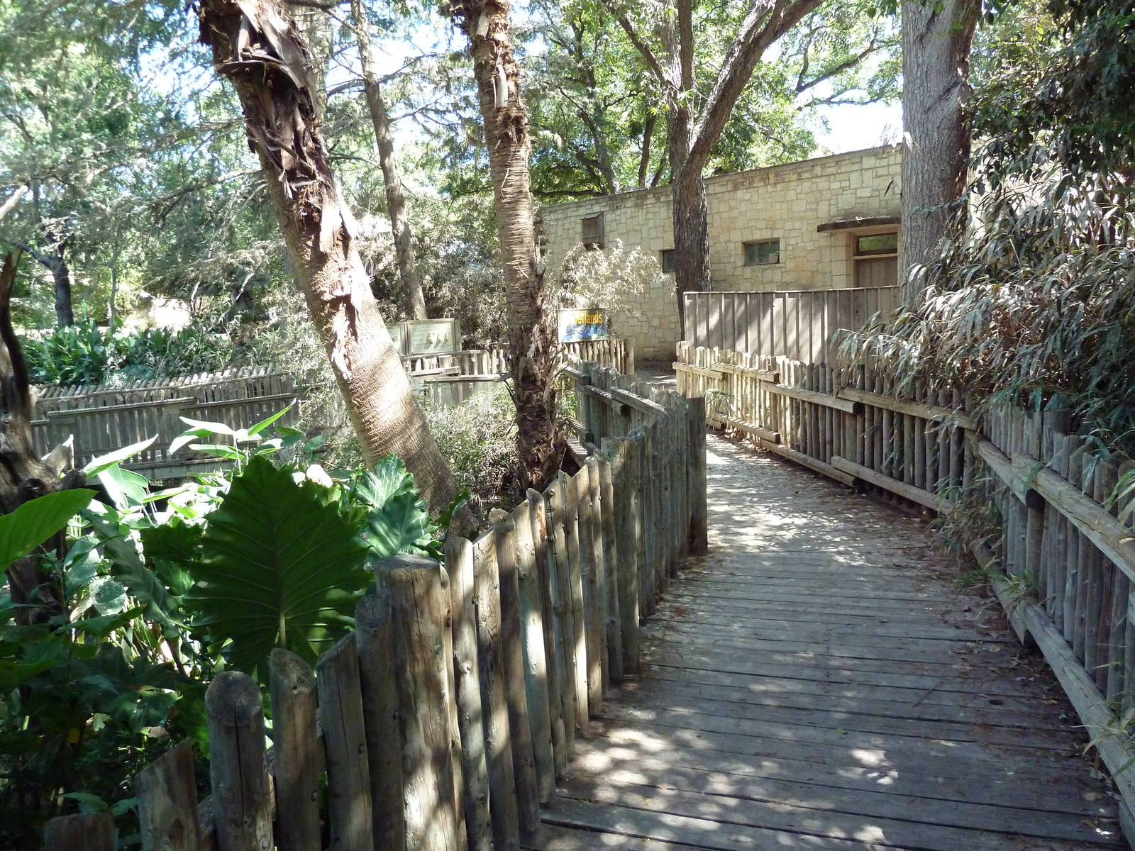Wetlands - Boardwalk