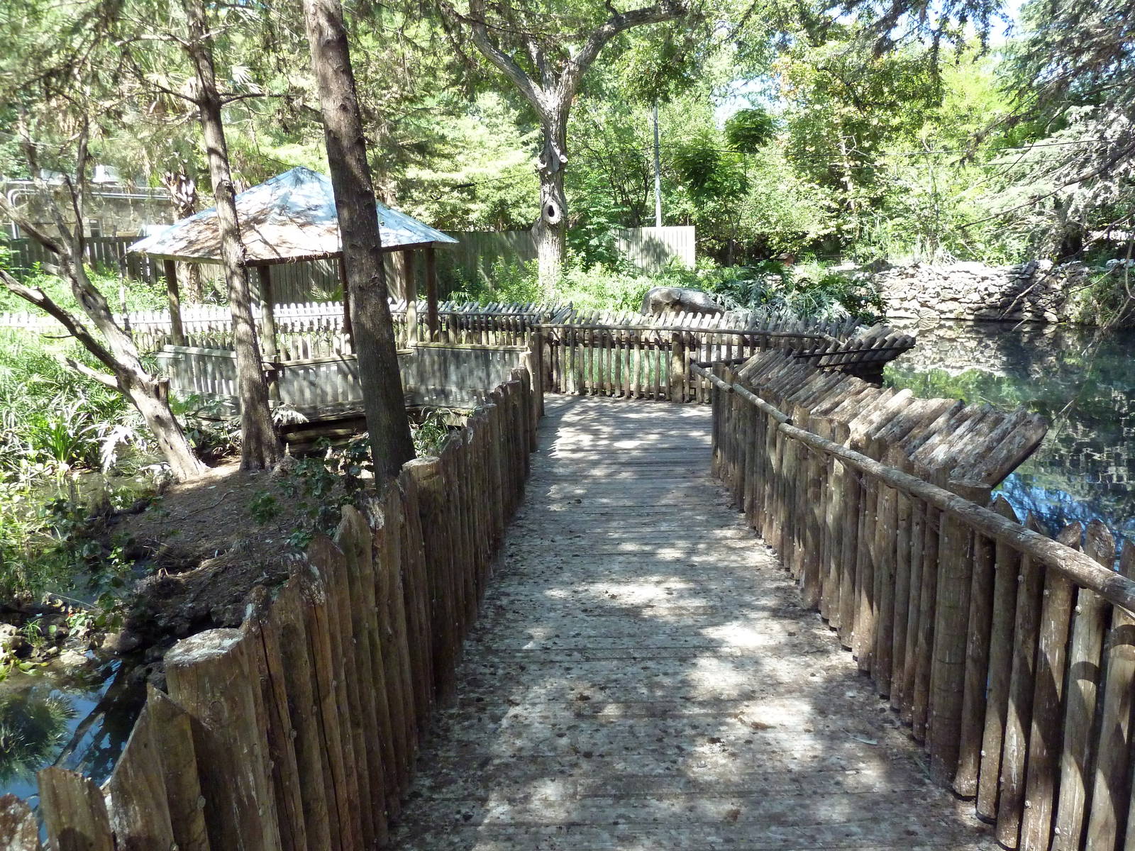 Wetlands - Boardwalk