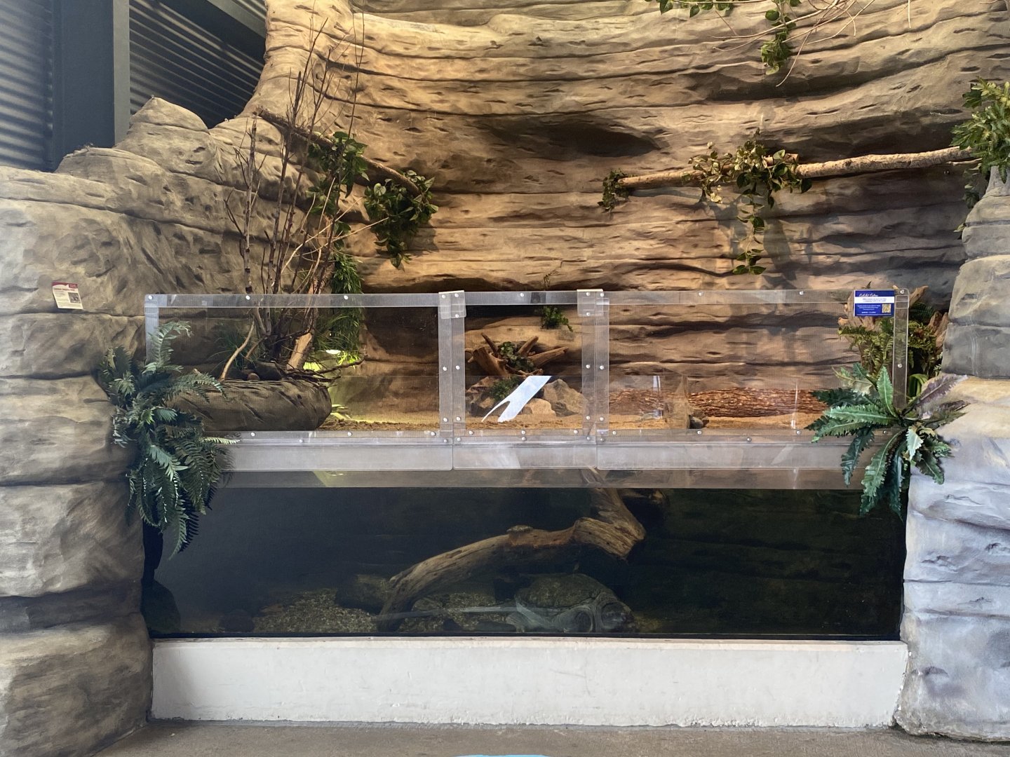 Wetlands - Common Snapping Turtle/Blanding’s Turtle Exhibit