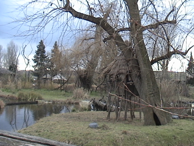Wetlands Exhibit Complex