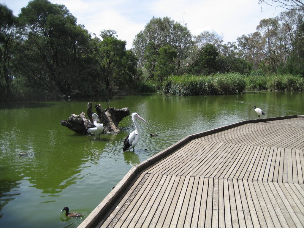 Wetlands exhibit