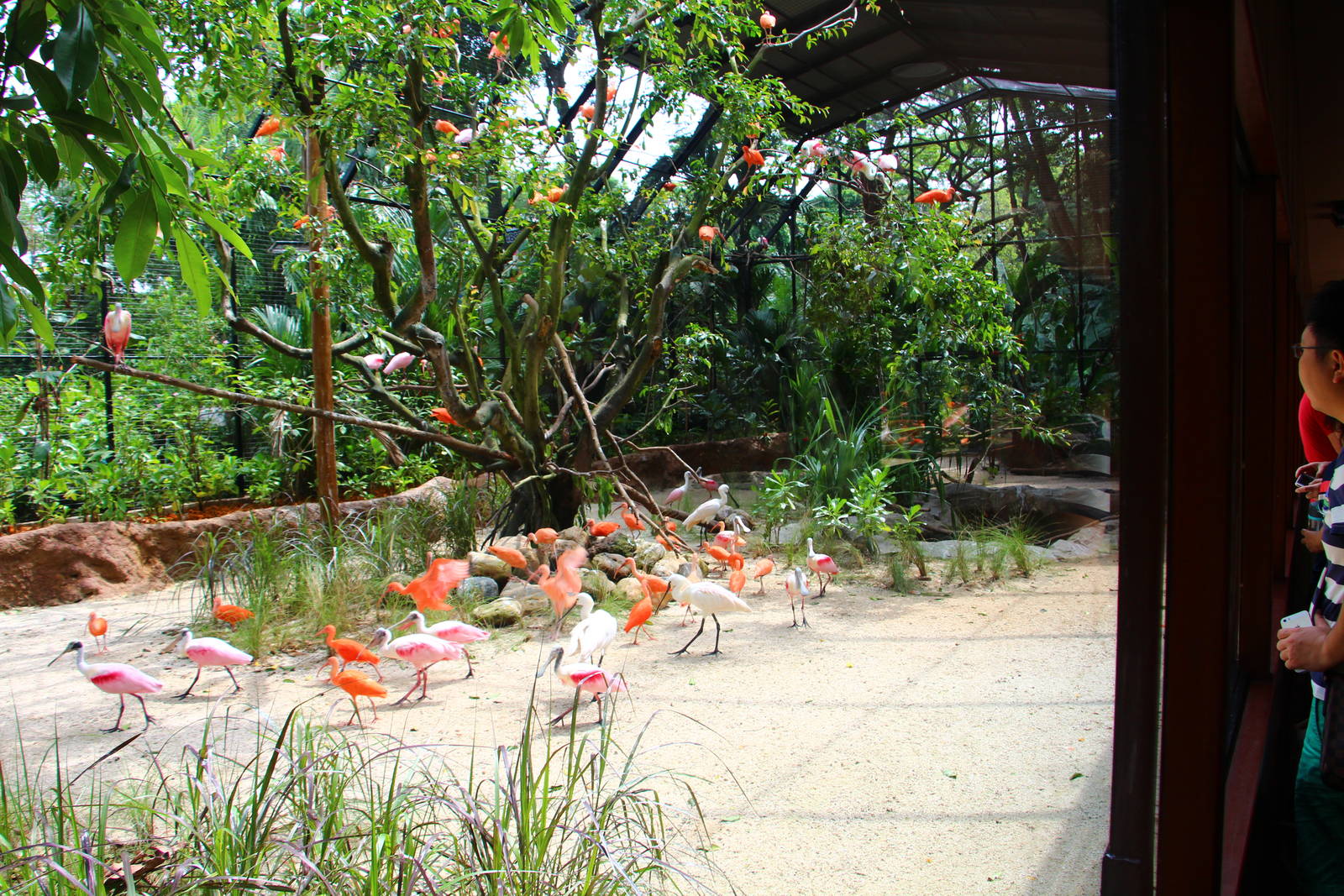 Wetlands exhibit