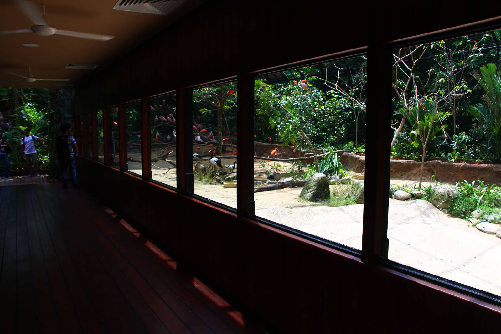 Wetlands exhibit