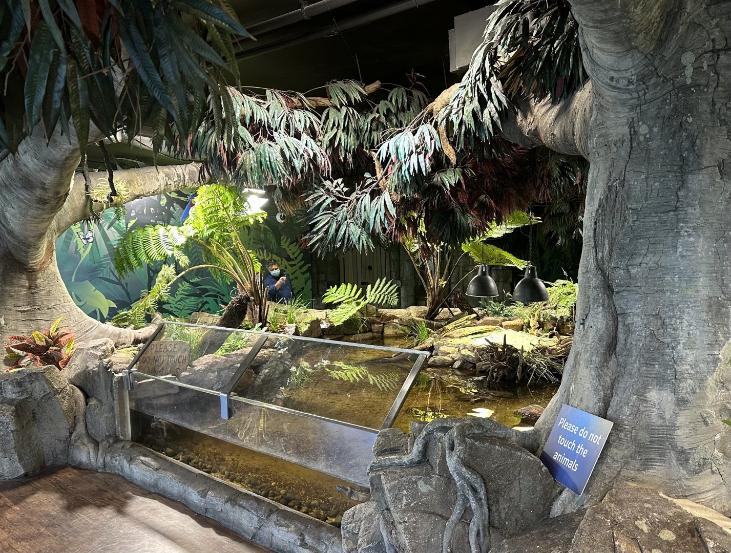 Wetlands Exhibit