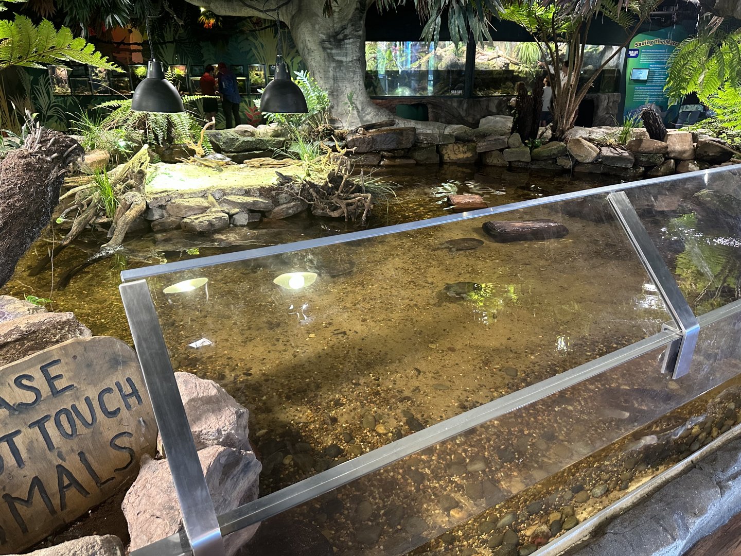 Wetlands Exhibit