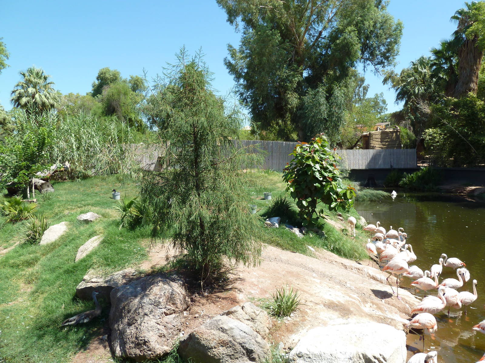 Wetlands Habitat (5 Species)