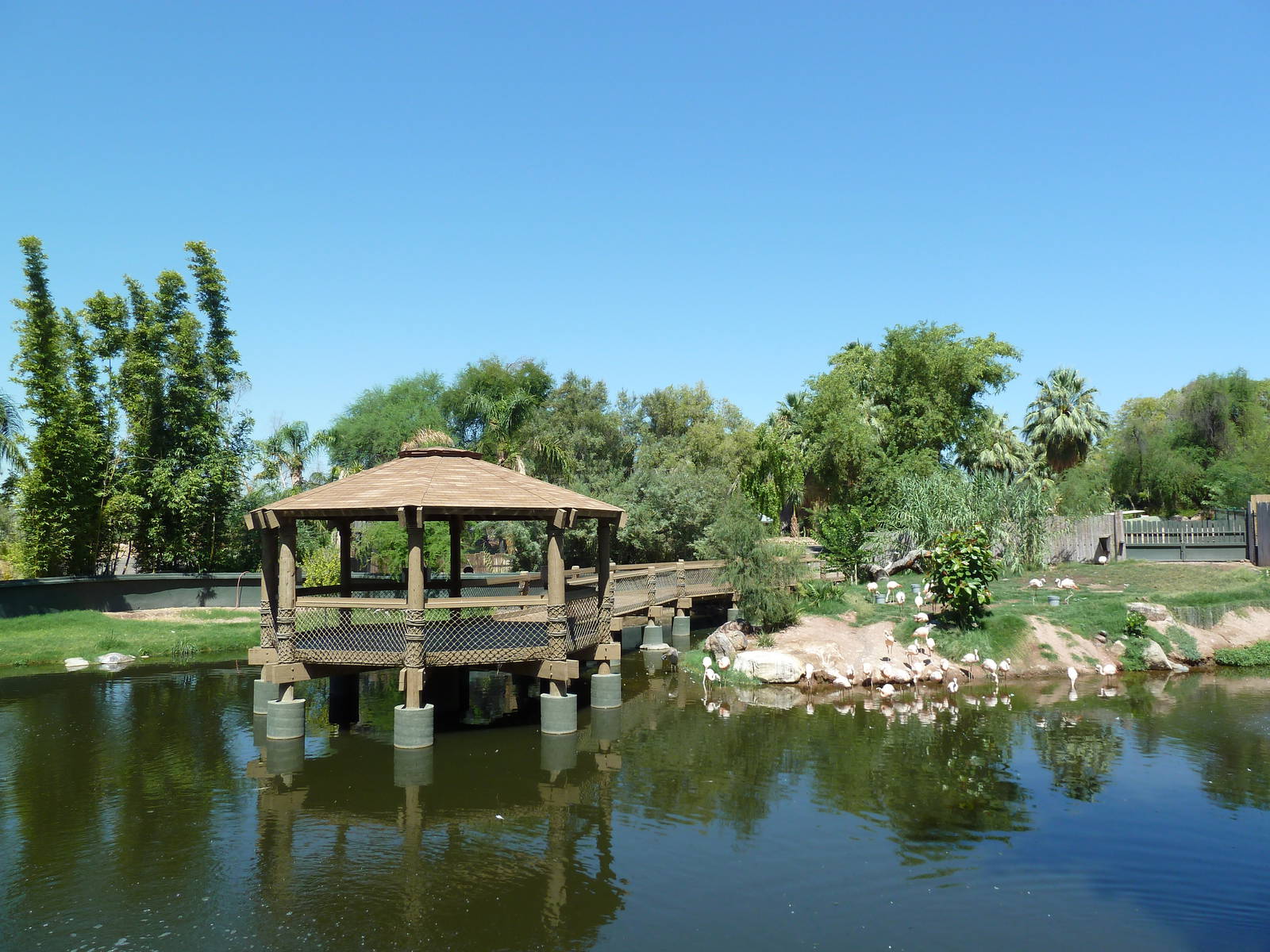 Wetlands Habitat (5 Species)