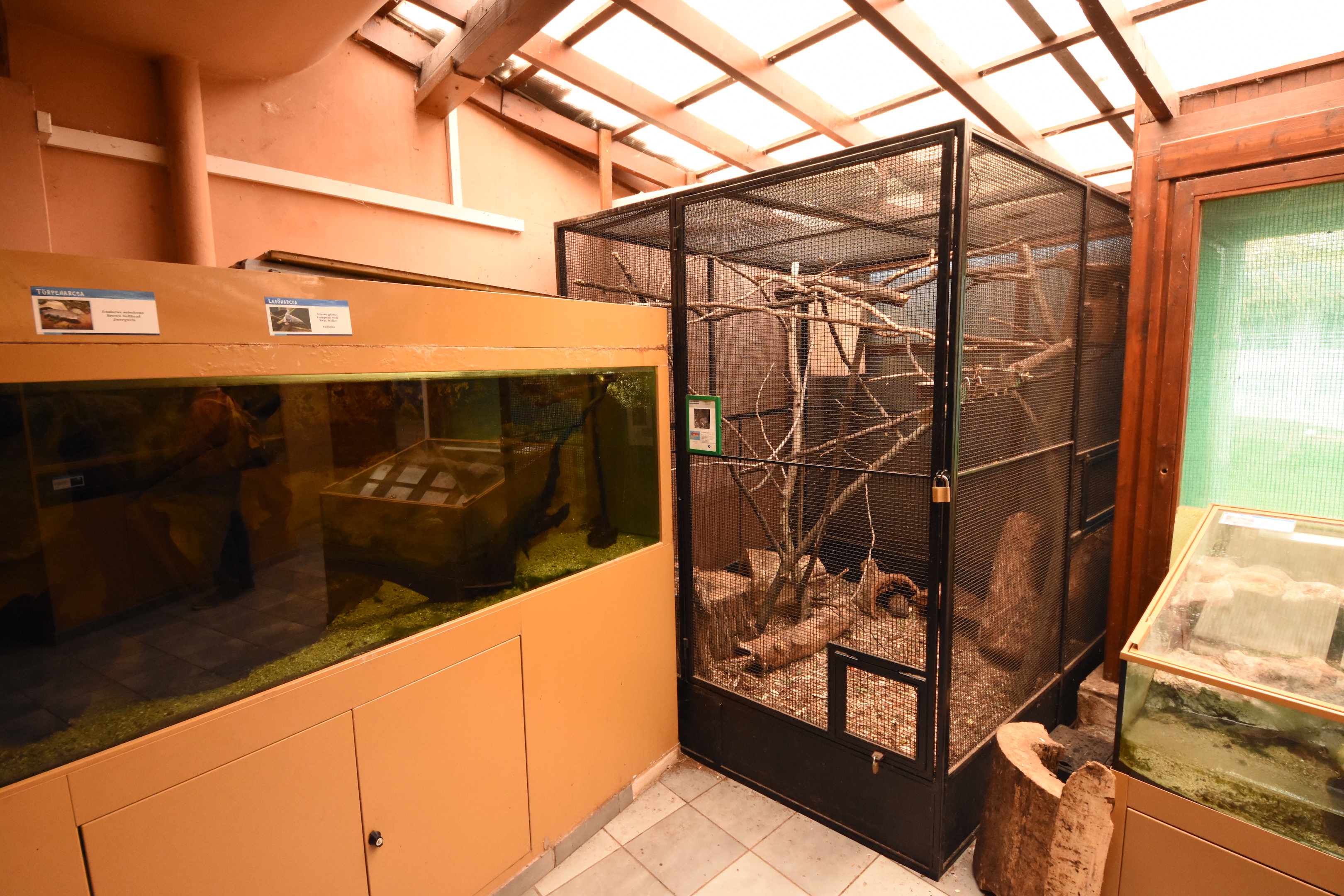 Wetlands house - Squirrel, hedgehogs and Catfish