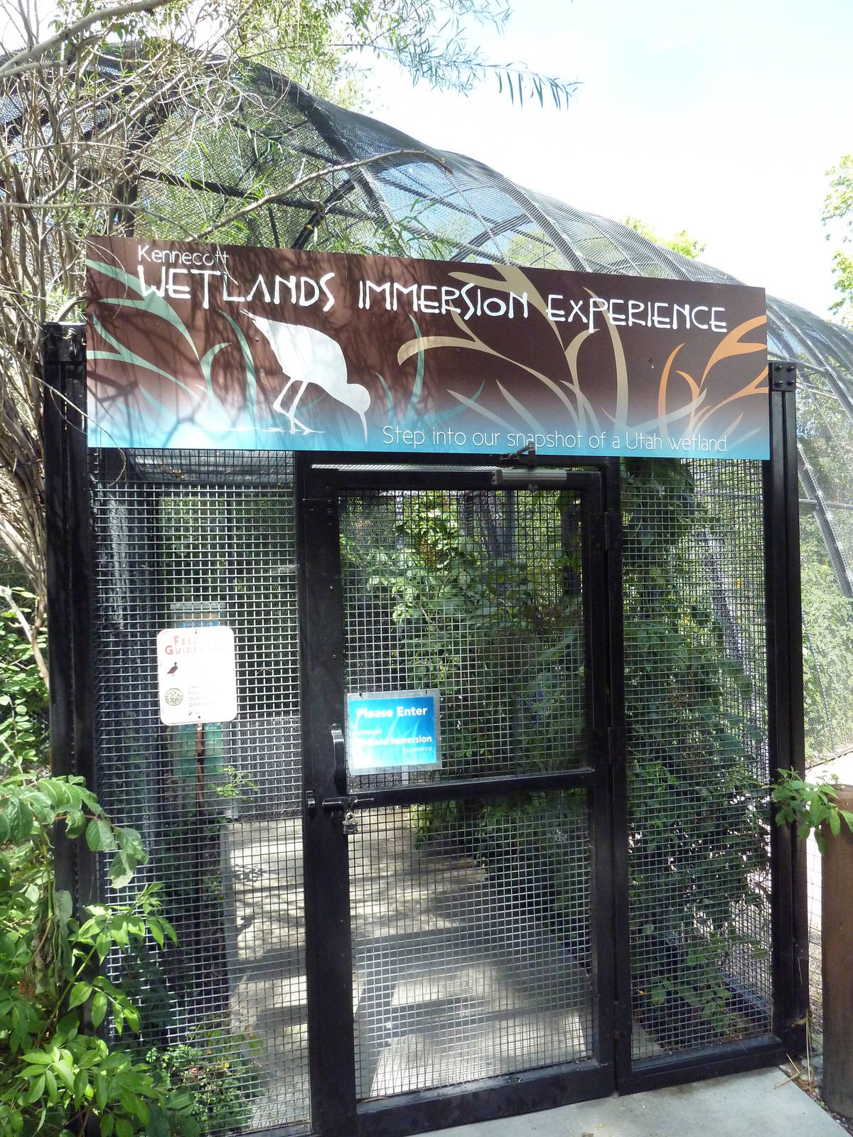 Wetlands Immersion Experience (17 Species)