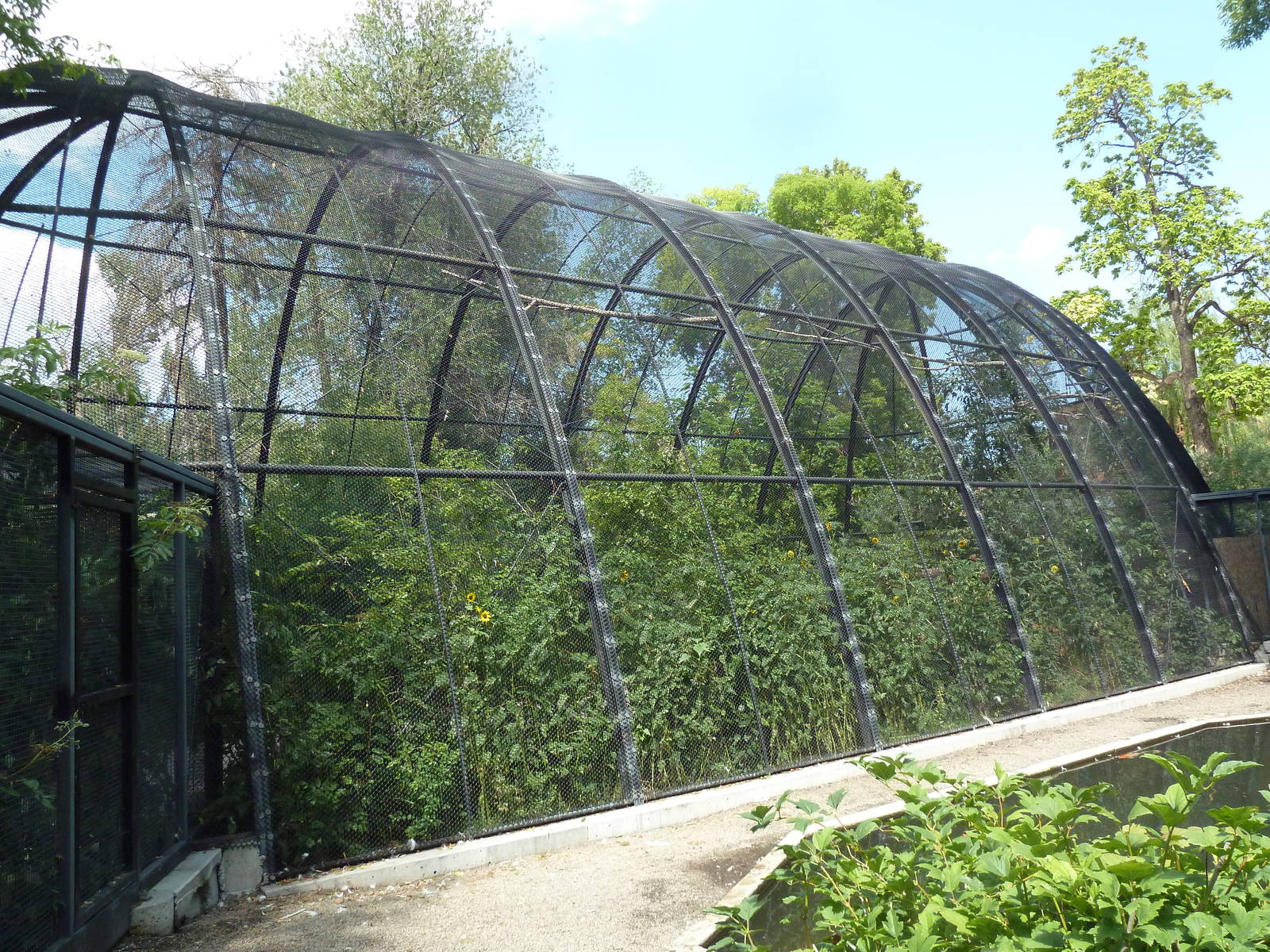 Wetlands Immersion Experience (17 Species)