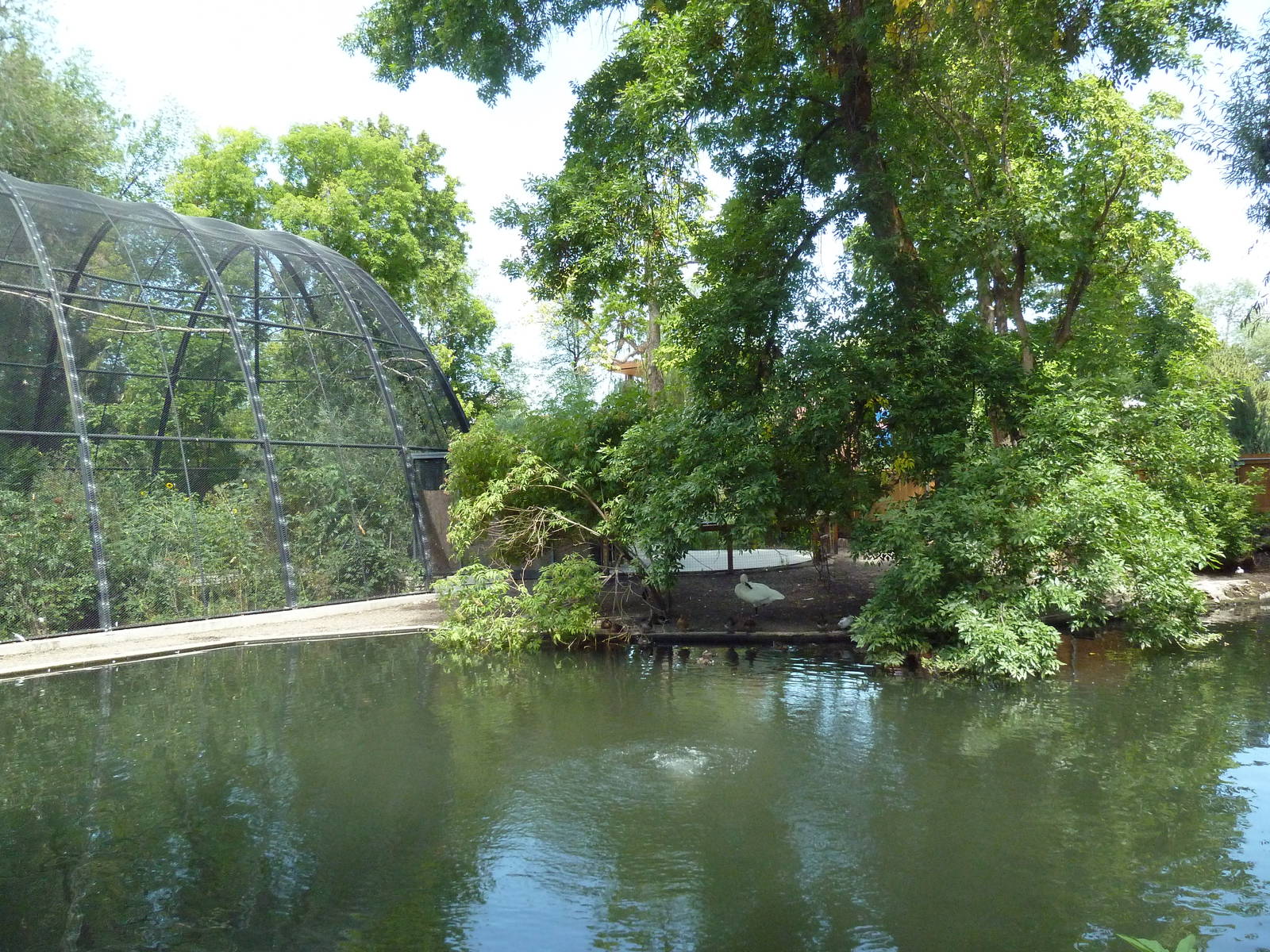 Wetlands Immersion Experience (17 Species)