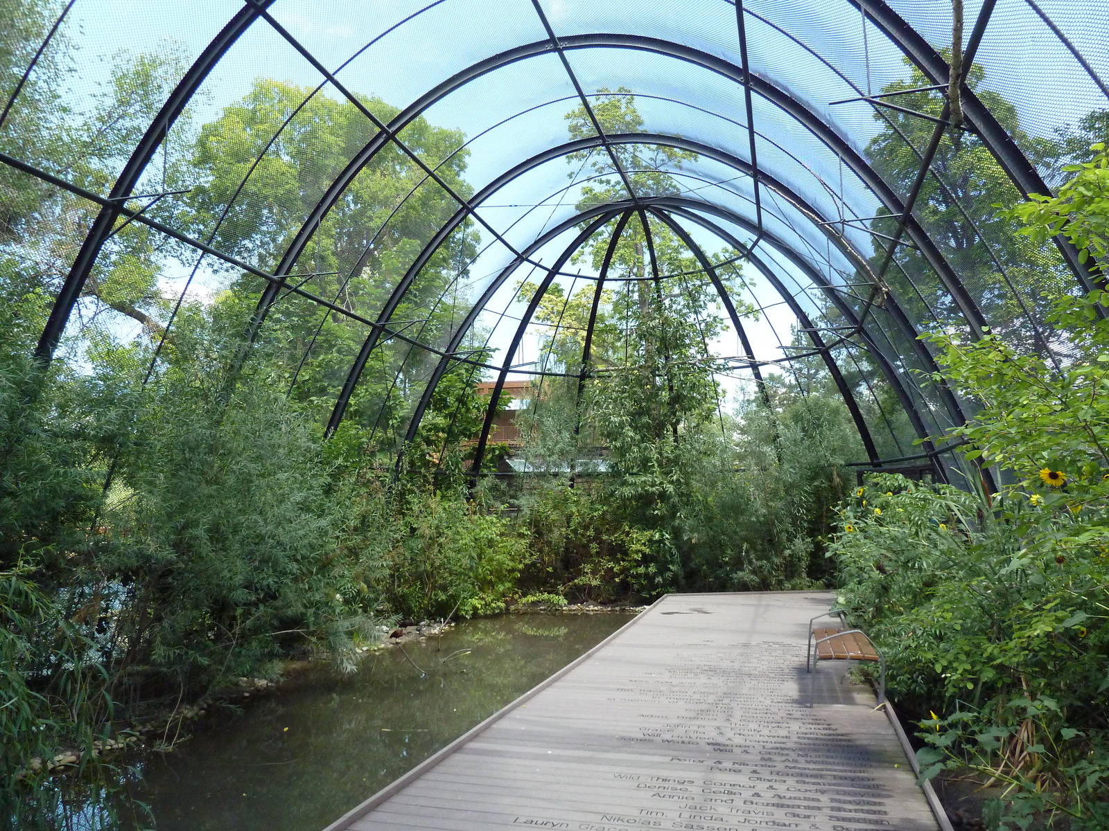 Wetlands Immersion Experience (17 Species)