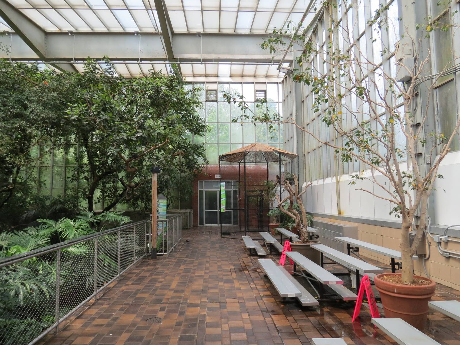 Wetlands - Interior Walkway