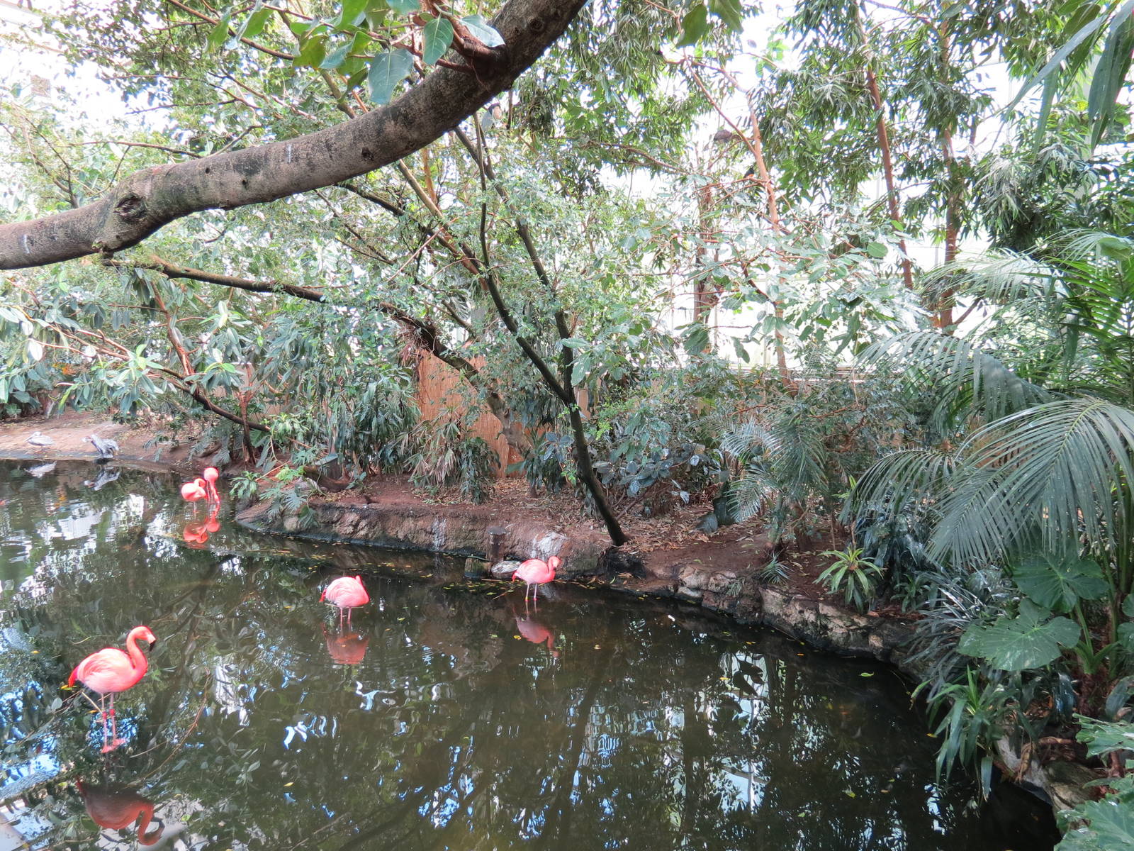 Wetlands - Interior