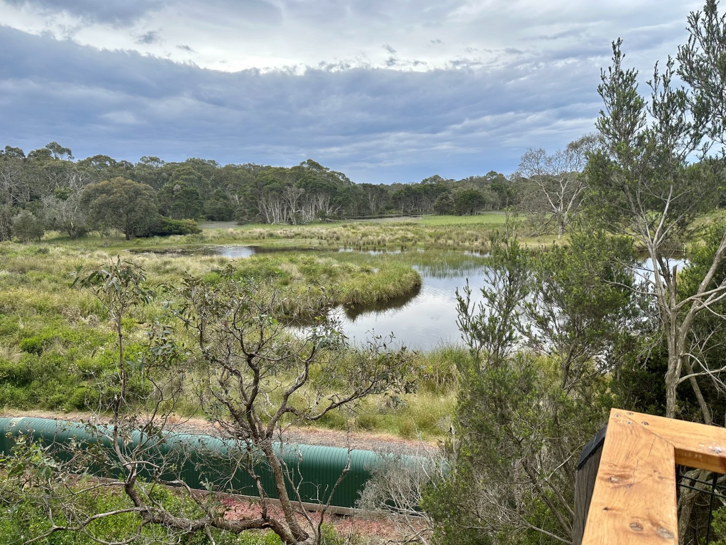 Wetlands (Koala Conservation Reserve, Phillip Island)