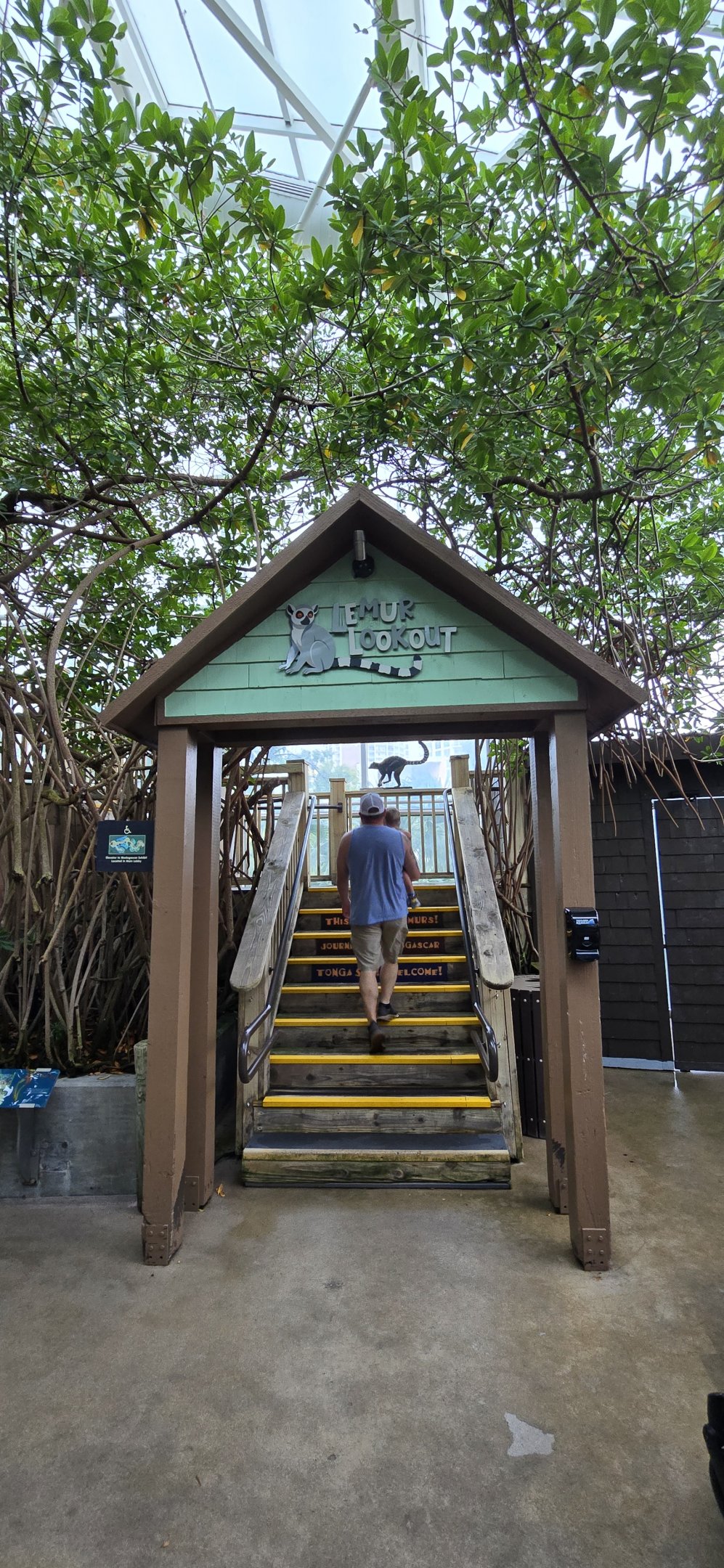 Wetlands - New Lemur Landing entrance (former "Madagascar" area).