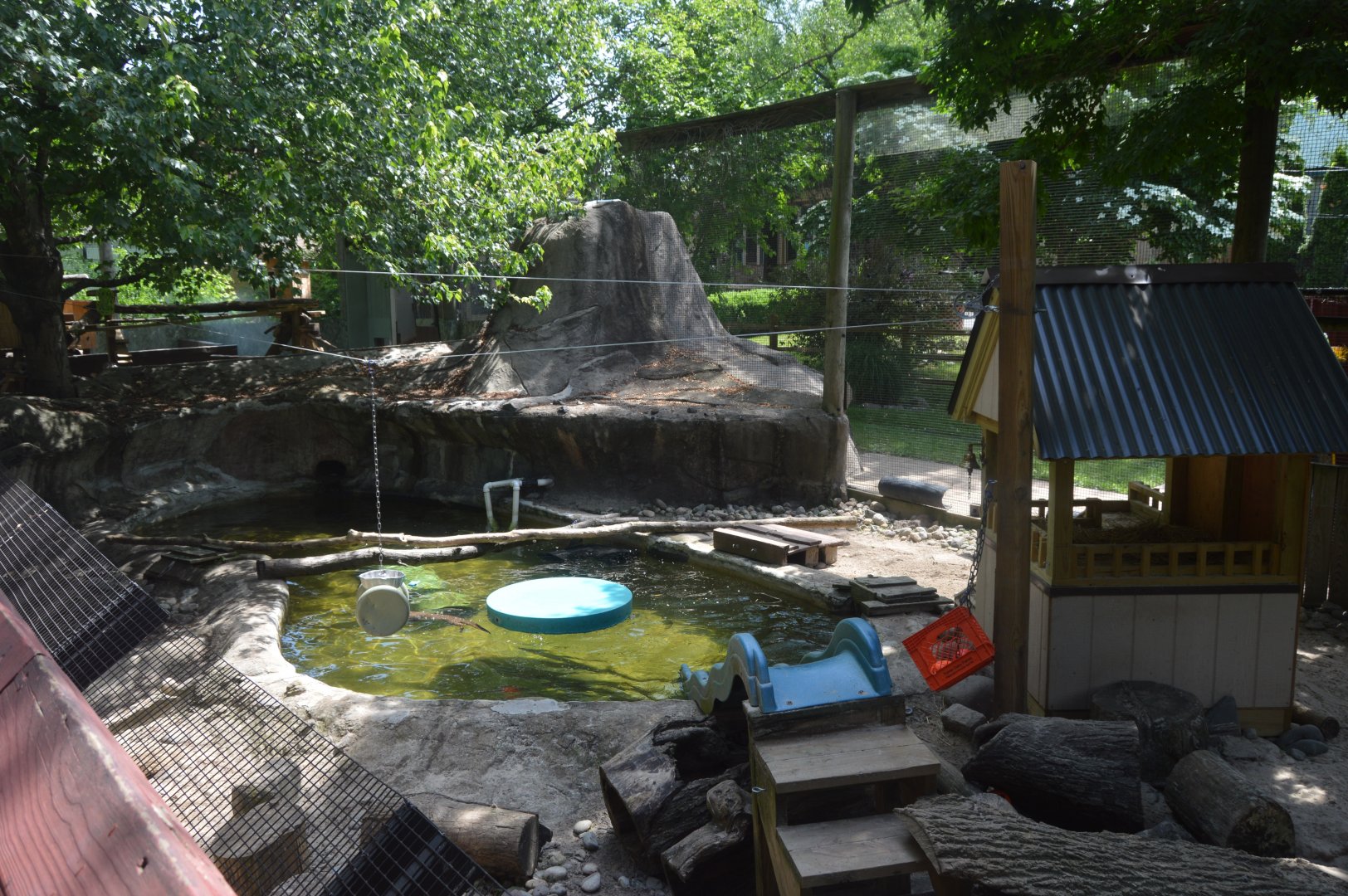Wetlands - North American River Otter