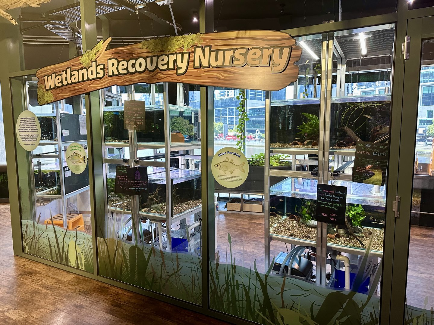 Wetlands Nursery