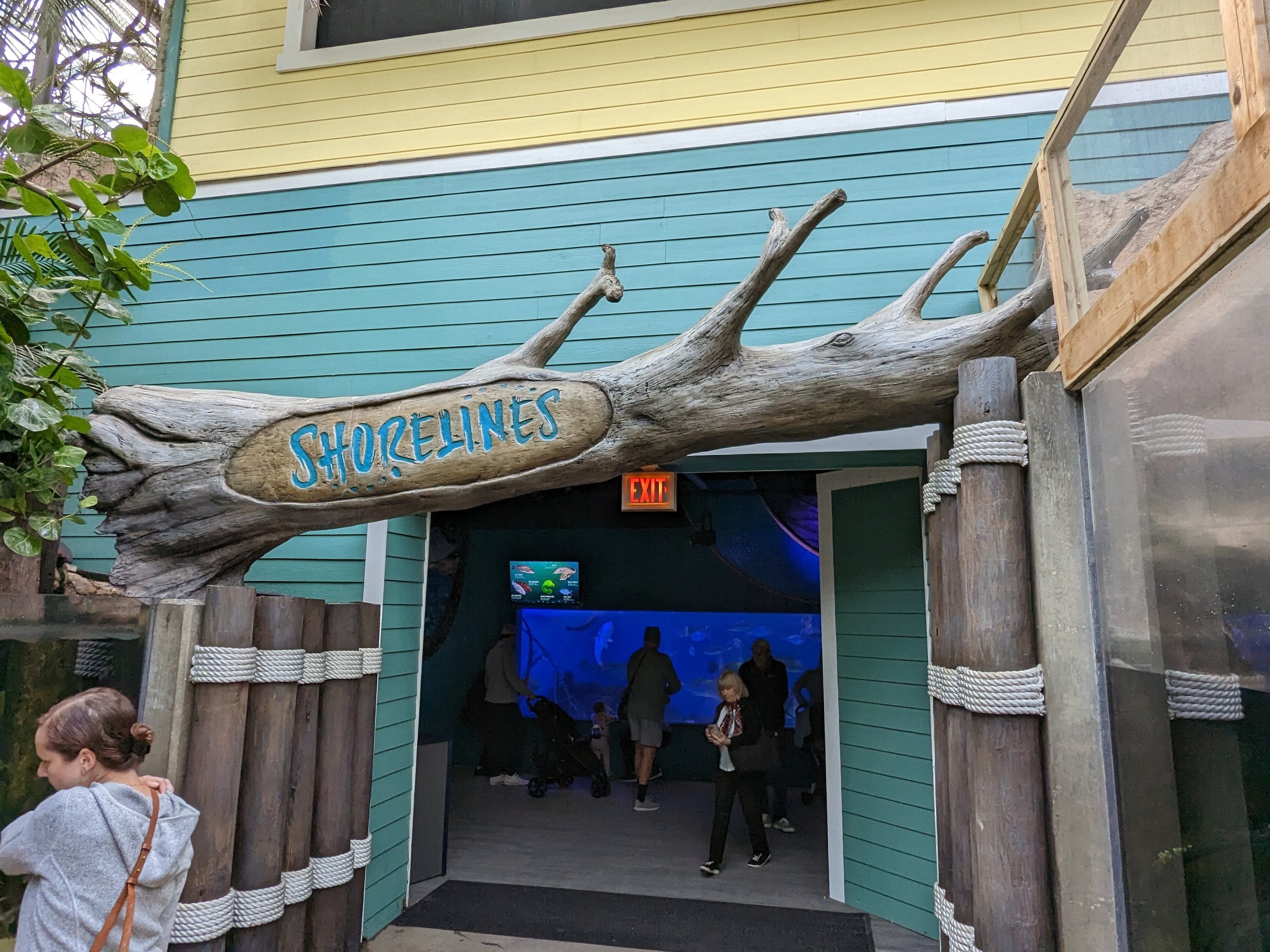 Wetlands of Florida - new "Shorelines" entrance