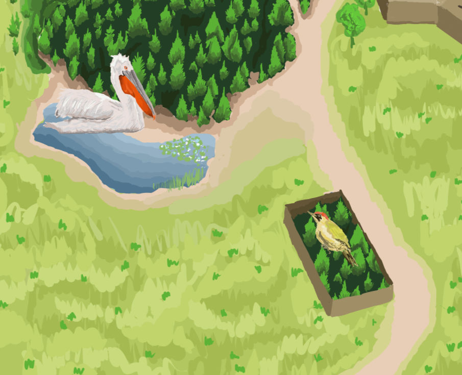 Wetlands of the Aegean  - Map of Turkish exhibit