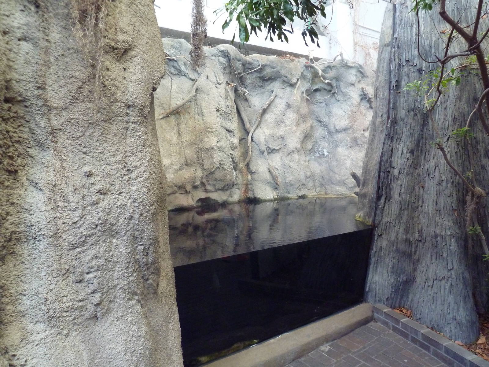 Wetlands on the Edge - American Alligator/Alligator Snapping Turtle Exhibit