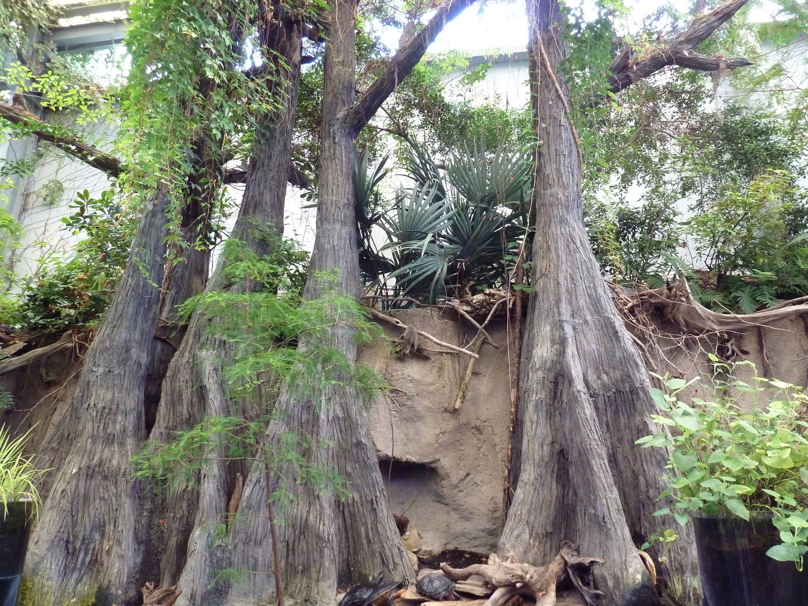 Wetlands on the Edge