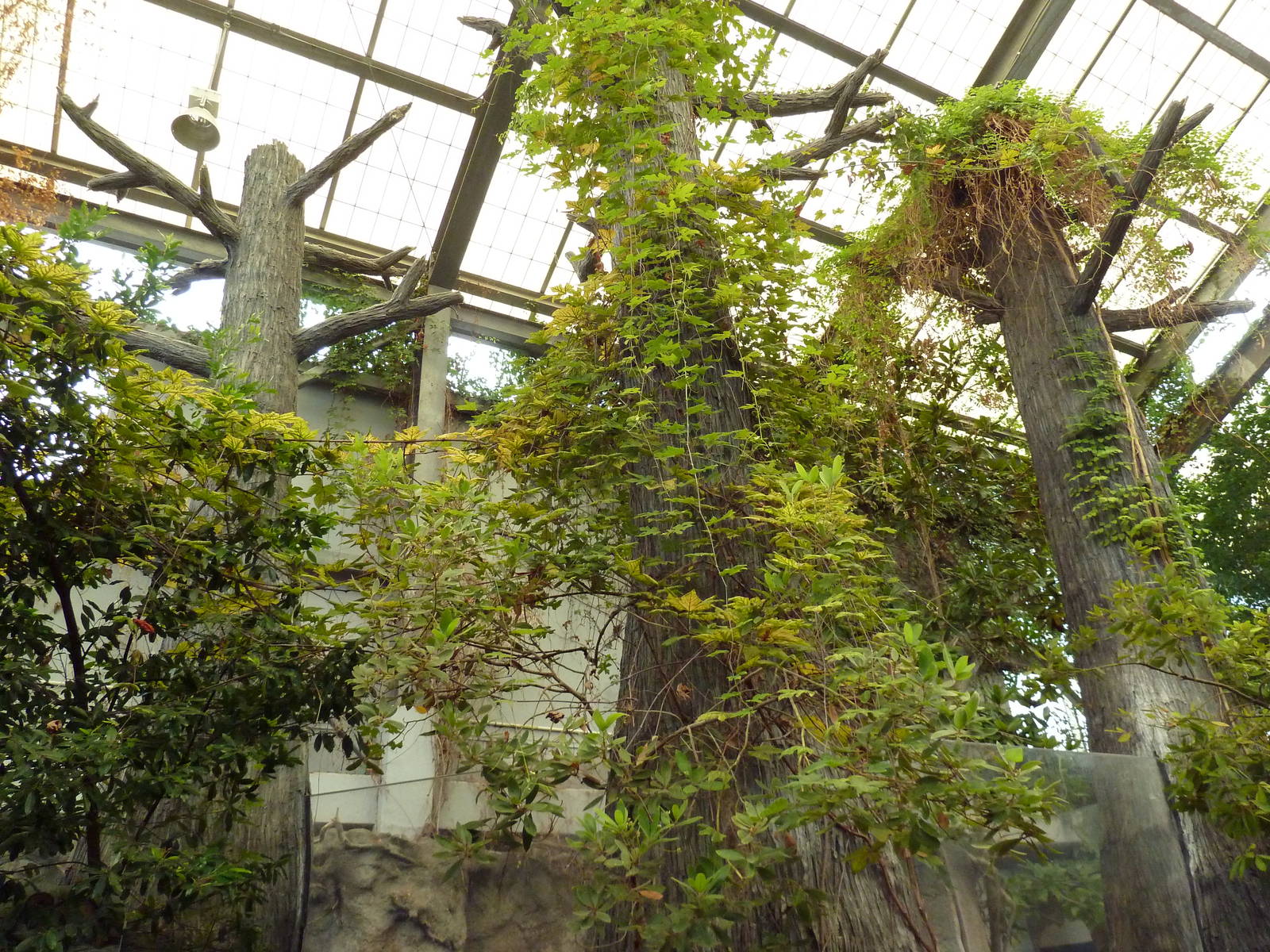 Wetlands on the Edge