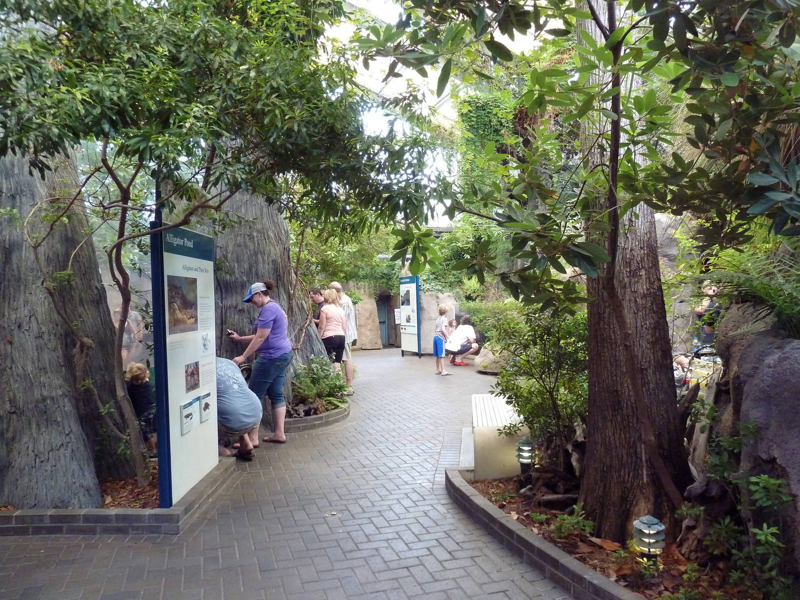 Wetlands on the Edge