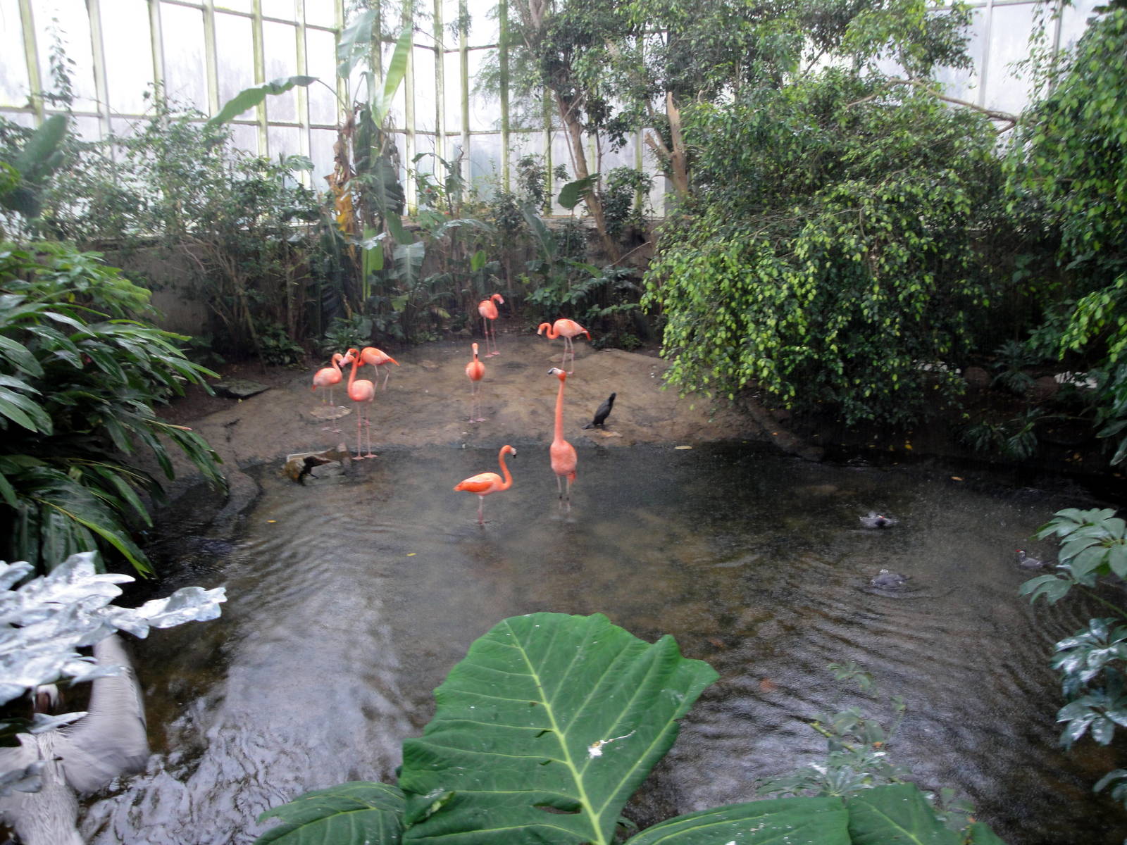 Wetlands - Rainstorm