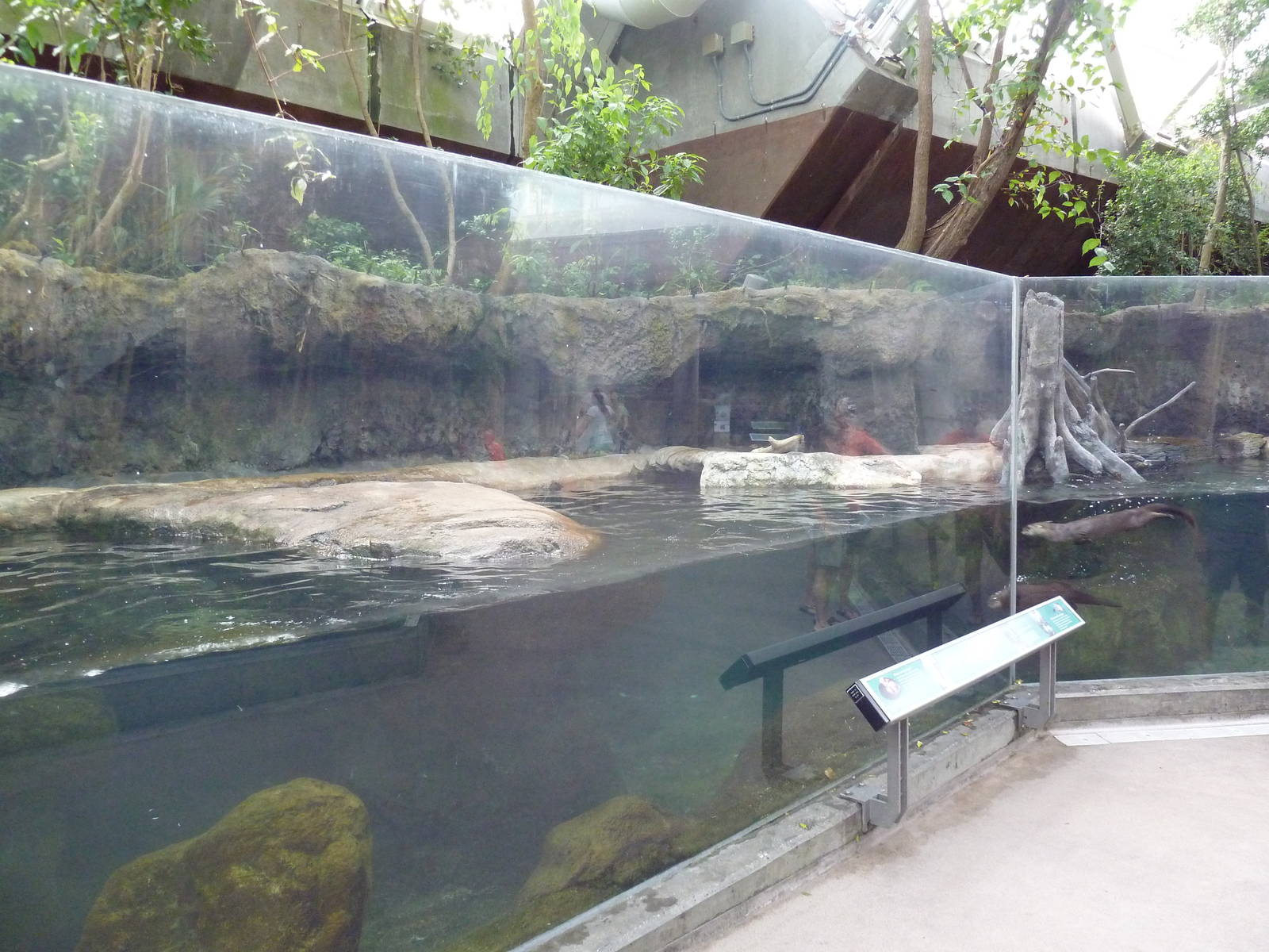 Wetlands - River Otter Exhibit