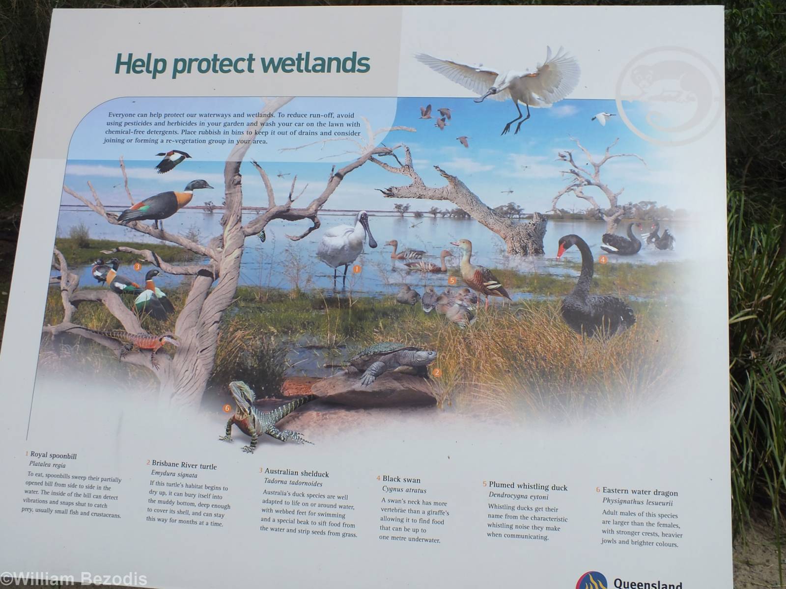 Wetlands Sign