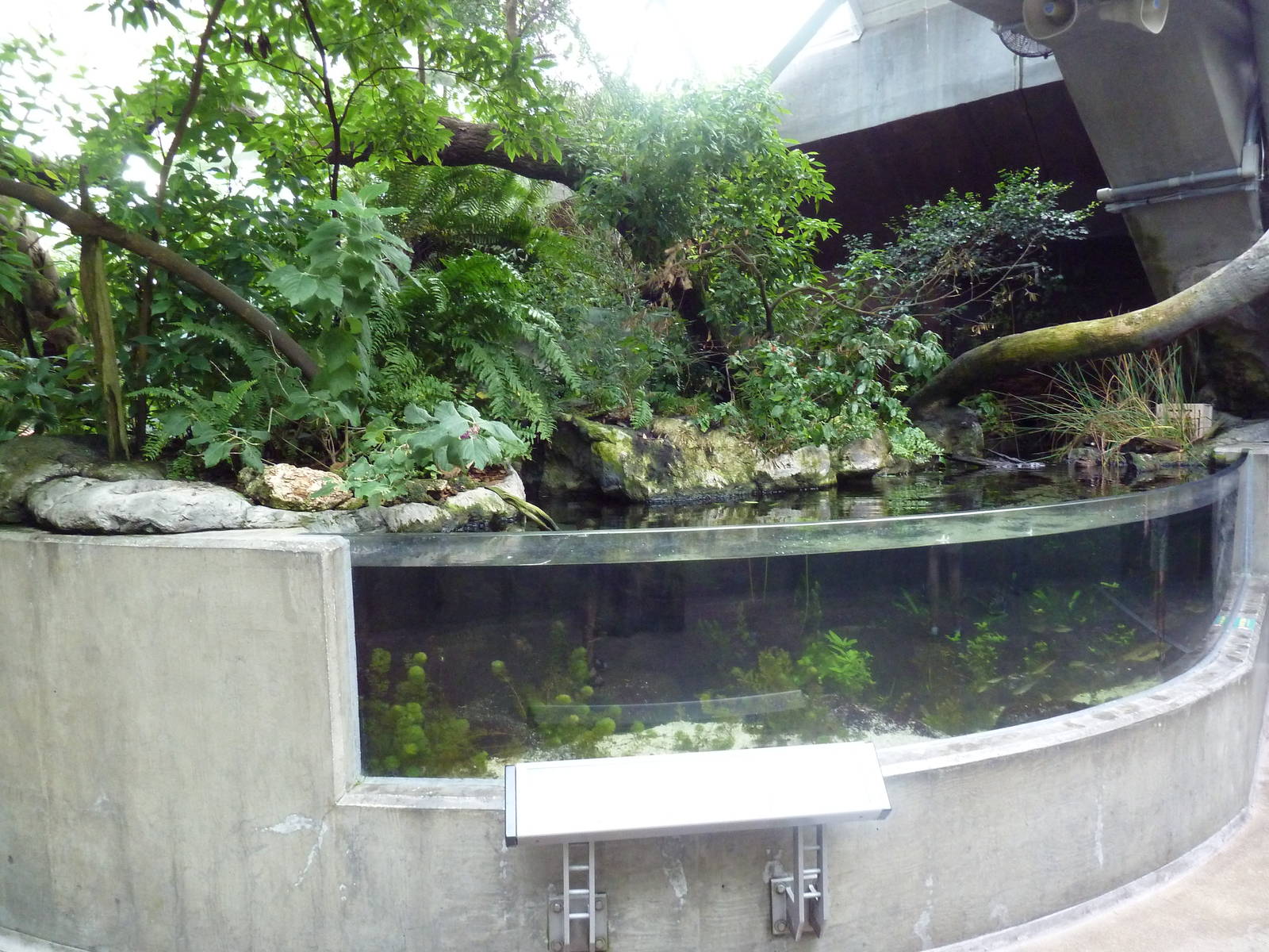 Wetlands - Spring-Fed Streams