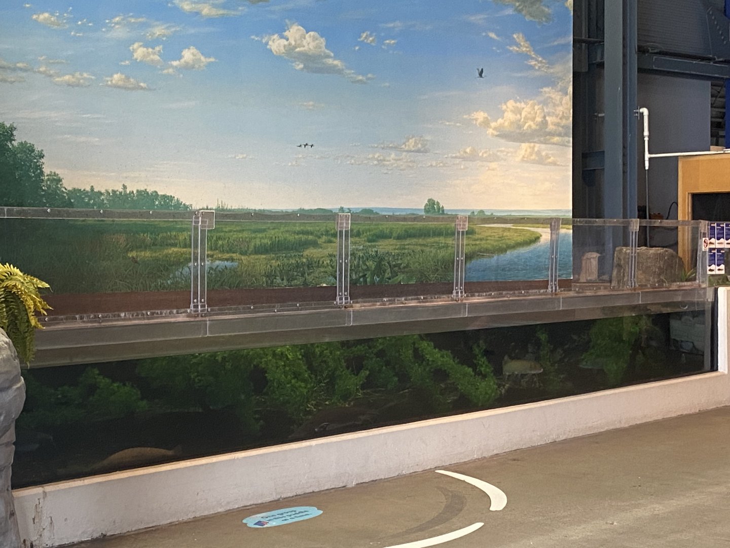 Wetlands - Stream Tank