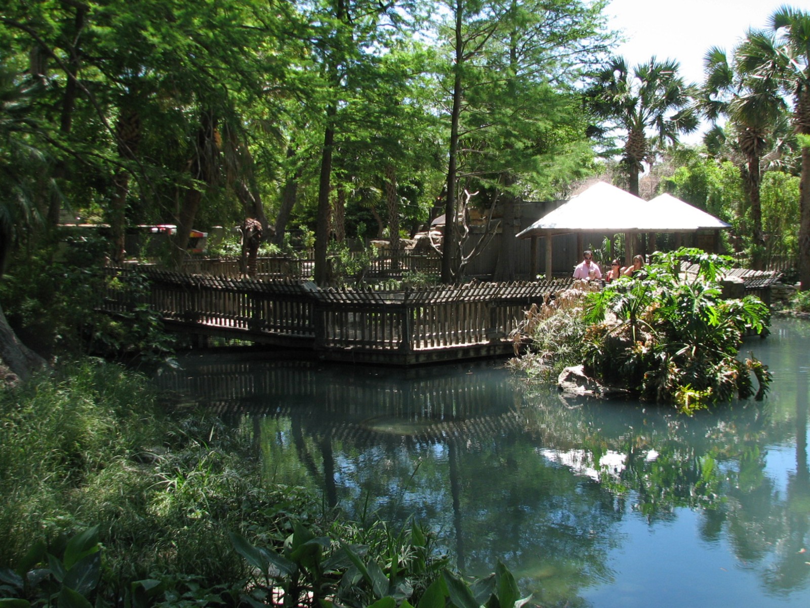 Wetlands - Tomistoma Exhibit