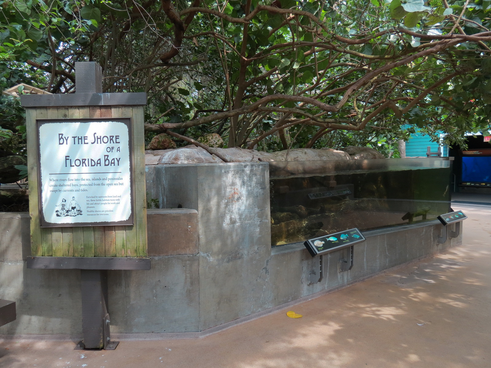 Wetlands Trail - Bay Shore Exhibit